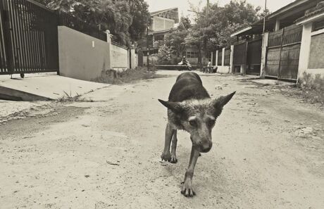 Down in the streets of Indonesia