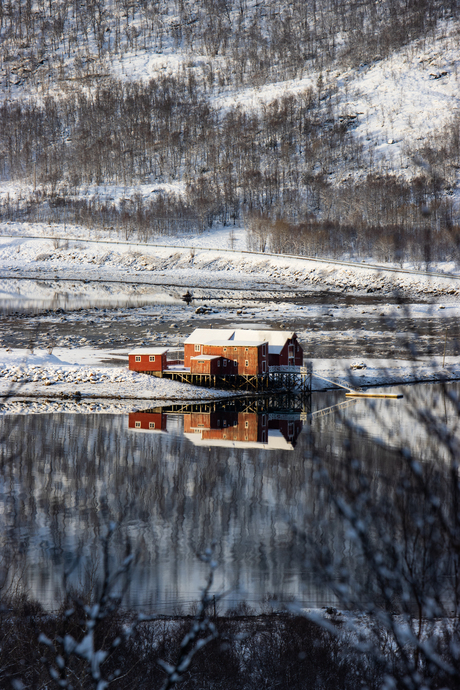 Reflection
