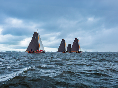 Lekker voor de wind