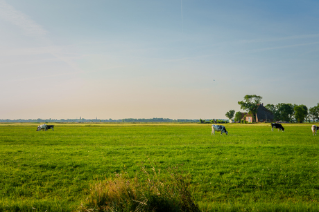 Landschap