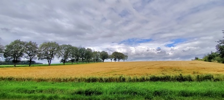 Drents landschap..