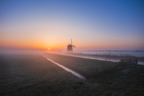 Mistige ochtend in de polder