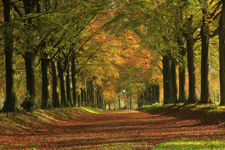 Kasteellaan Eijsden