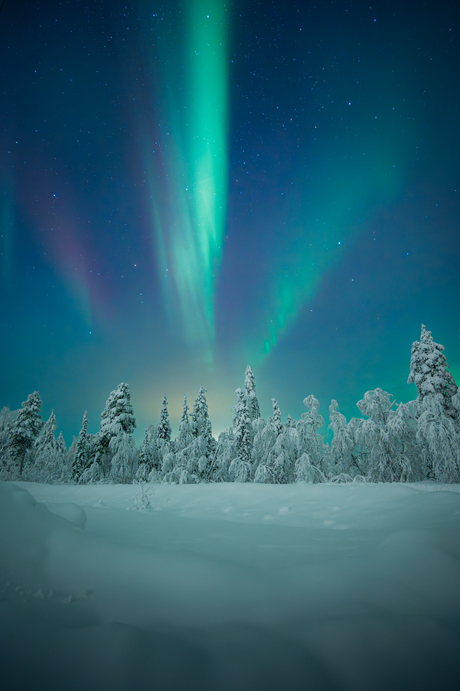 Noorderlicht in Lapland