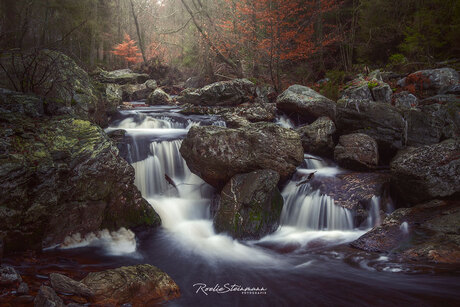 Autumn falls