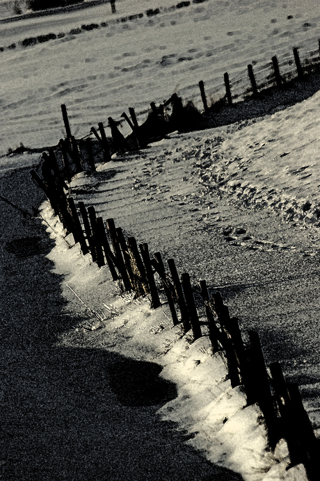 Waarheen leidt de weg