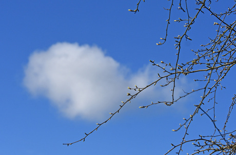 Kijkend naar knoppen
