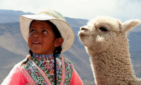 Meisje&Alpaca