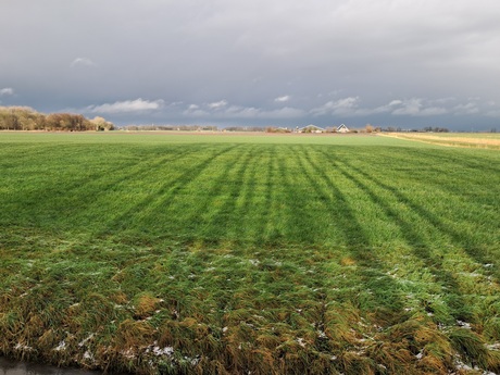 Lijnenspel