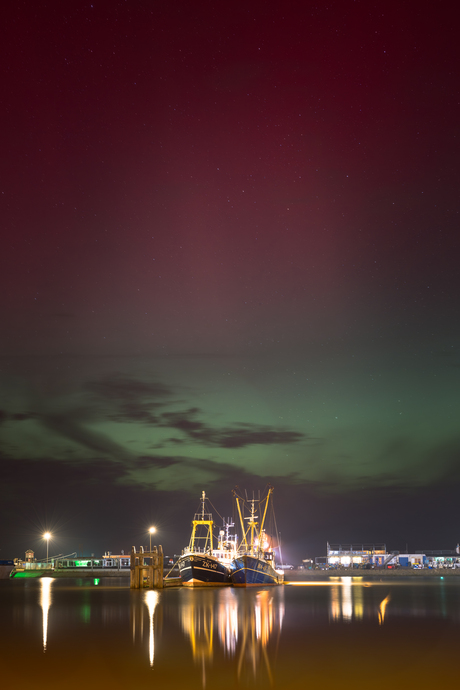 Noorderlicht ZK147, HA43. Rood