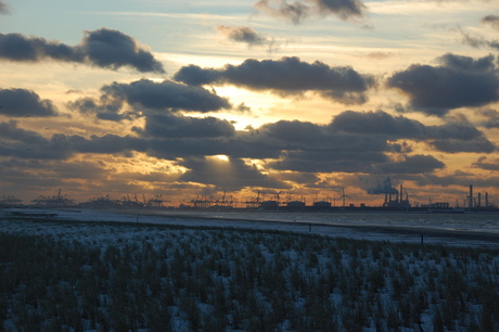 maasvlakte