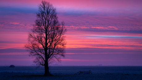 Op een koude December morgen