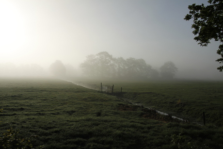 landschap