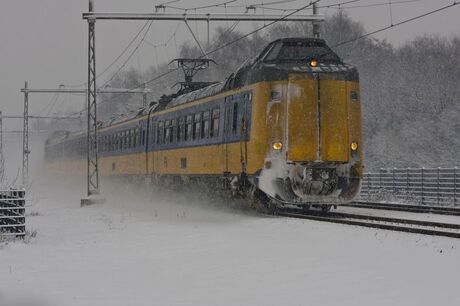 White train