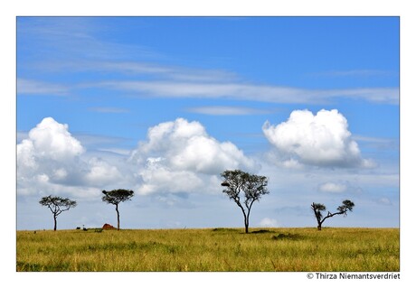Serengeti Clouds