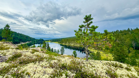 Brenn, Innlandet, Noorwegen 25-07-2025.