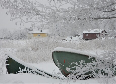 Echt winter