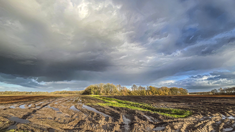 Braakliggend voor de winter