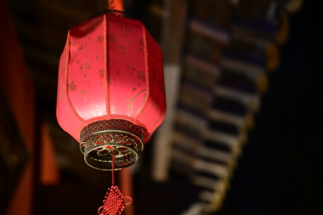 Gemaakt met een nikon z8 en een nioon z50mm f1.2. Foto is niet bewerkt en is zonder tripod genomen