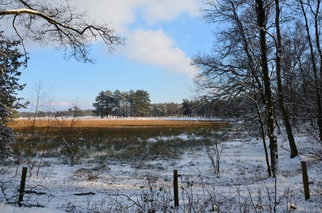 Het Leersumse Veld