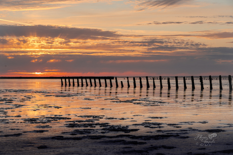 Paaltjes op het Wad