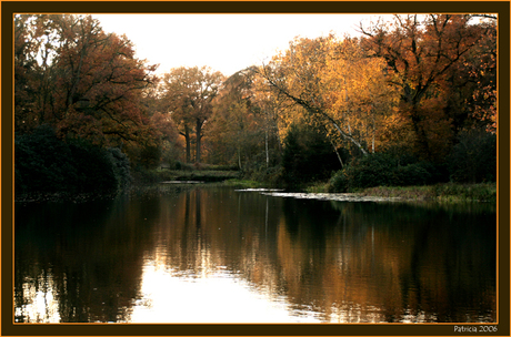 Herfstkleuren