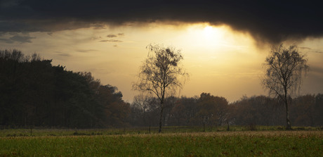 Avond zon