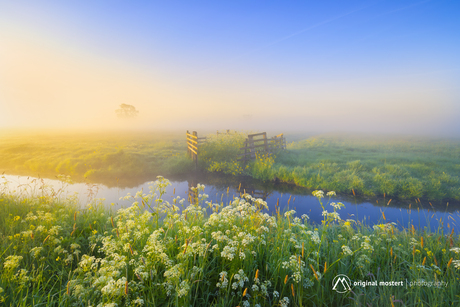 Ochtendlicht over het land...