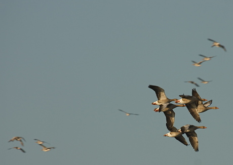 Druk in de lucht!