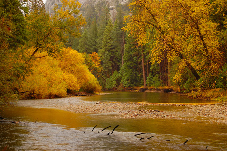 Herfstplaatje King Canyon California