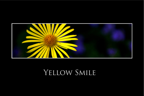 Yellow Smile