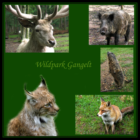 Wildpark Gangelt