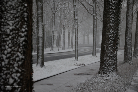 Sneeuw zorgt voor diepte