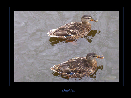 duckies