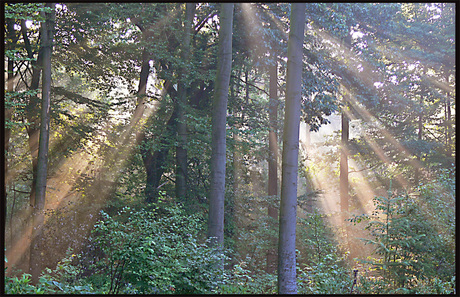 Zonnestralen