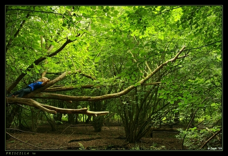 natuurlijk groen "bed"