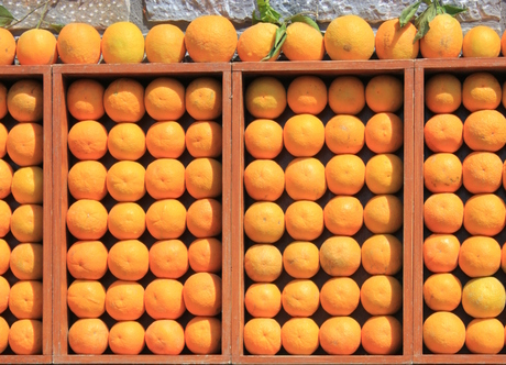 Oranges