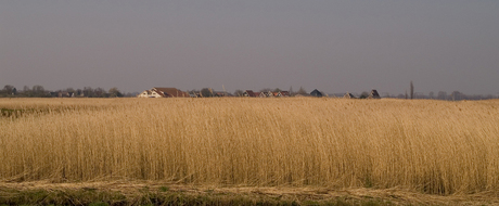 Ilpenerwaard-Oostzaan