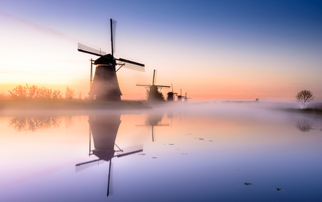 Dutch mills of Kinderdijk during sunrise