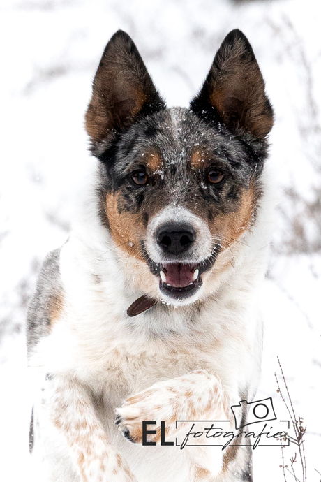 Kayla loves the snow