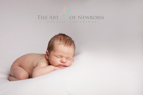 Newborn Fotografie