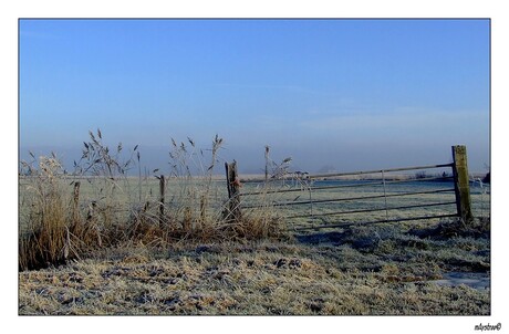 in de polder