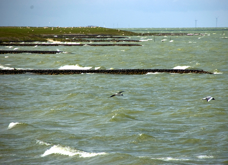 IJsselmeerkust.jpg