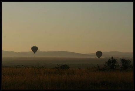 Balonvaren in de Masai Mara