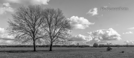 160303 Brobbelbies bomen en wolken