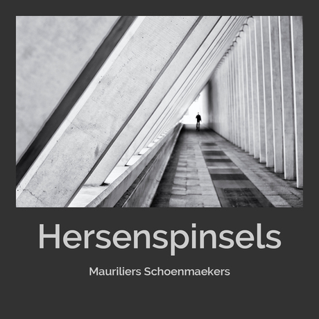 Hersenspinsels