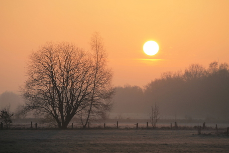 Goedemorgen Eschmarke