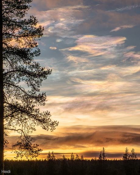 Parelmoerwolken tijdens de zonsopkomst.