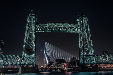 De Rotterdamse bruggen