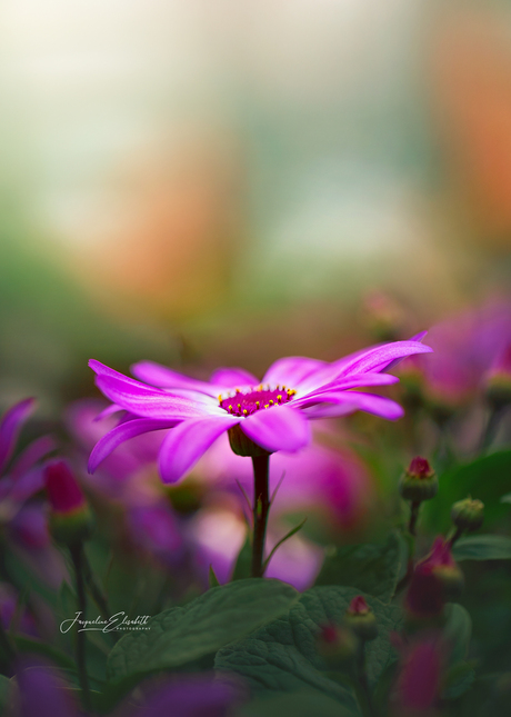 The world looks different when you slow down ...